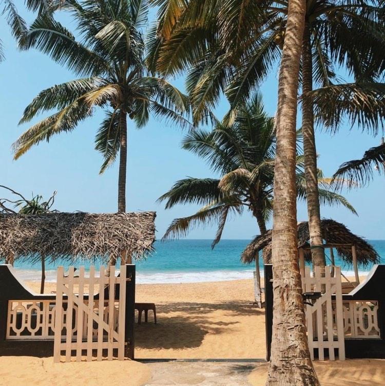 Jasmine Garden Beach Guest House هيكادوفا المظهر الخارجي الصورة